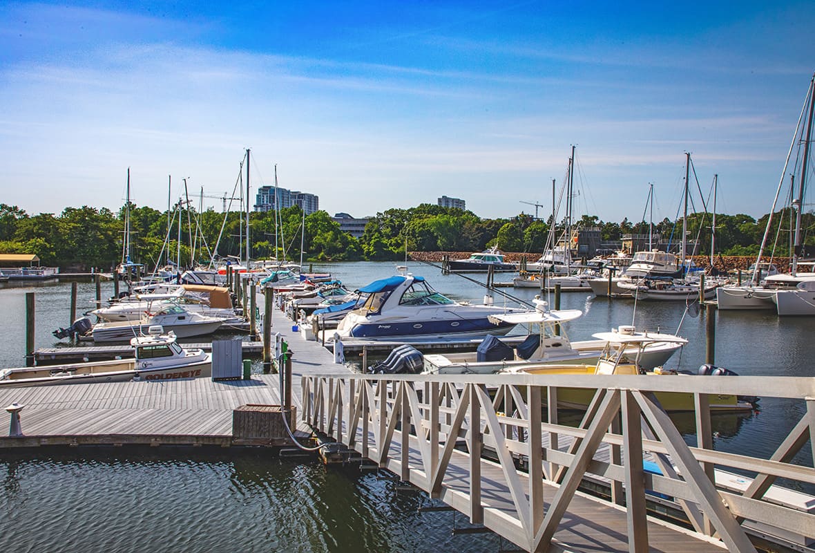 Boats docked at marina