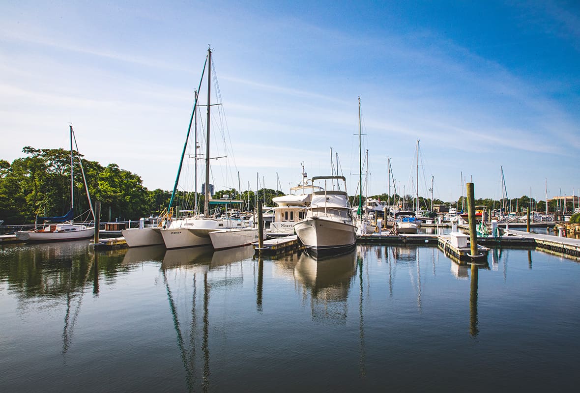 Boats docked at marina