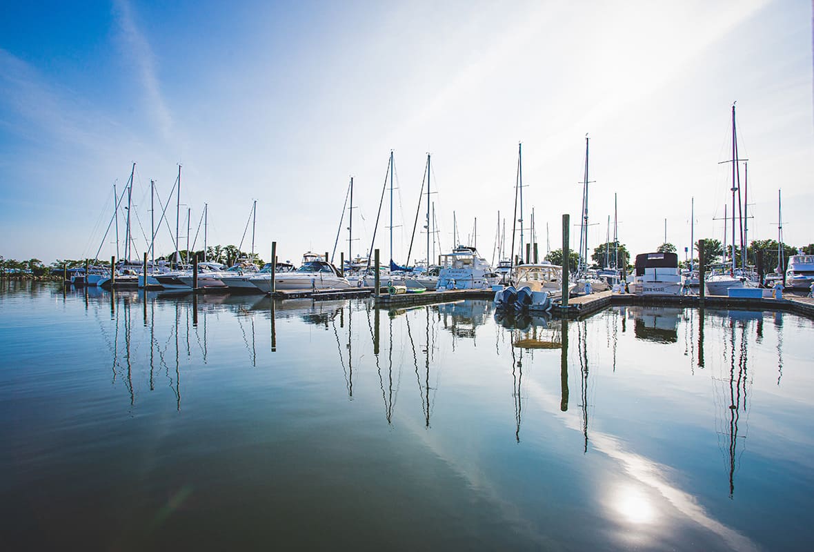 Boats docked at marina