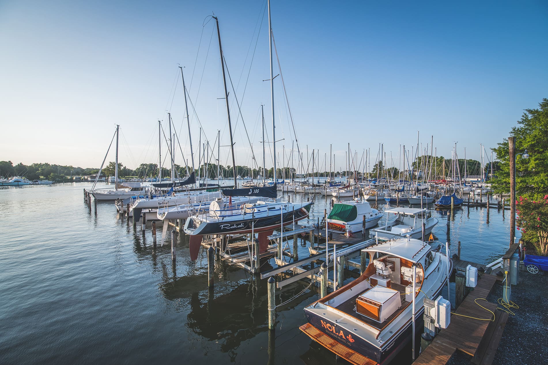Boats docked at marina