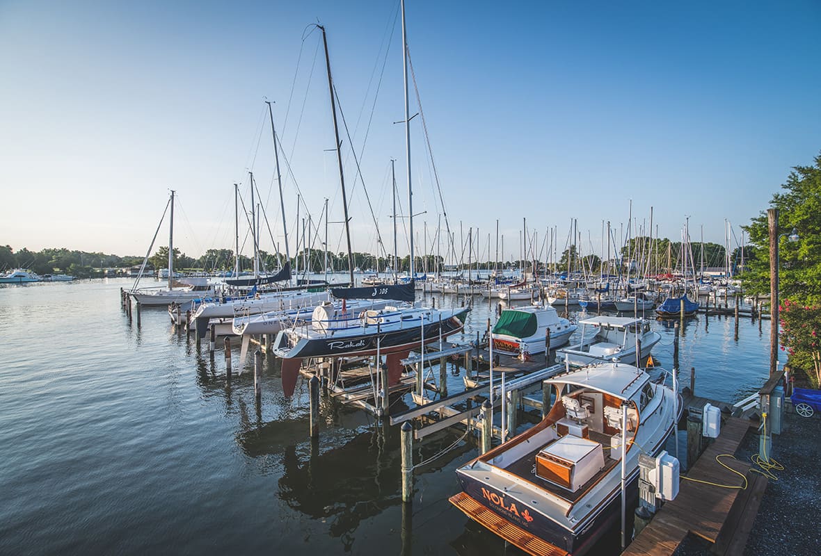 Boats docked at marina