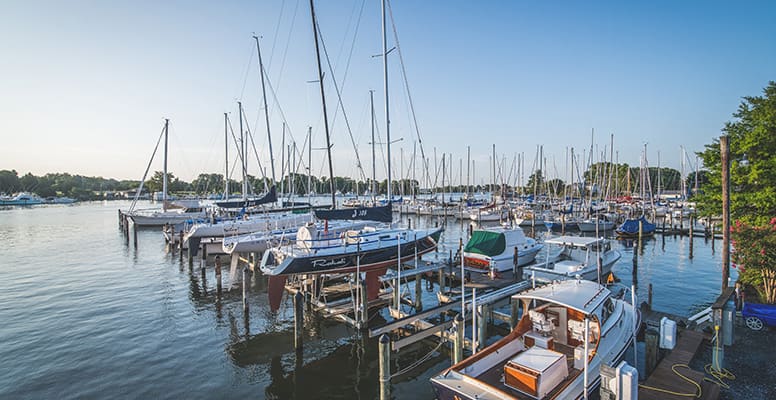 Boats docked at marina