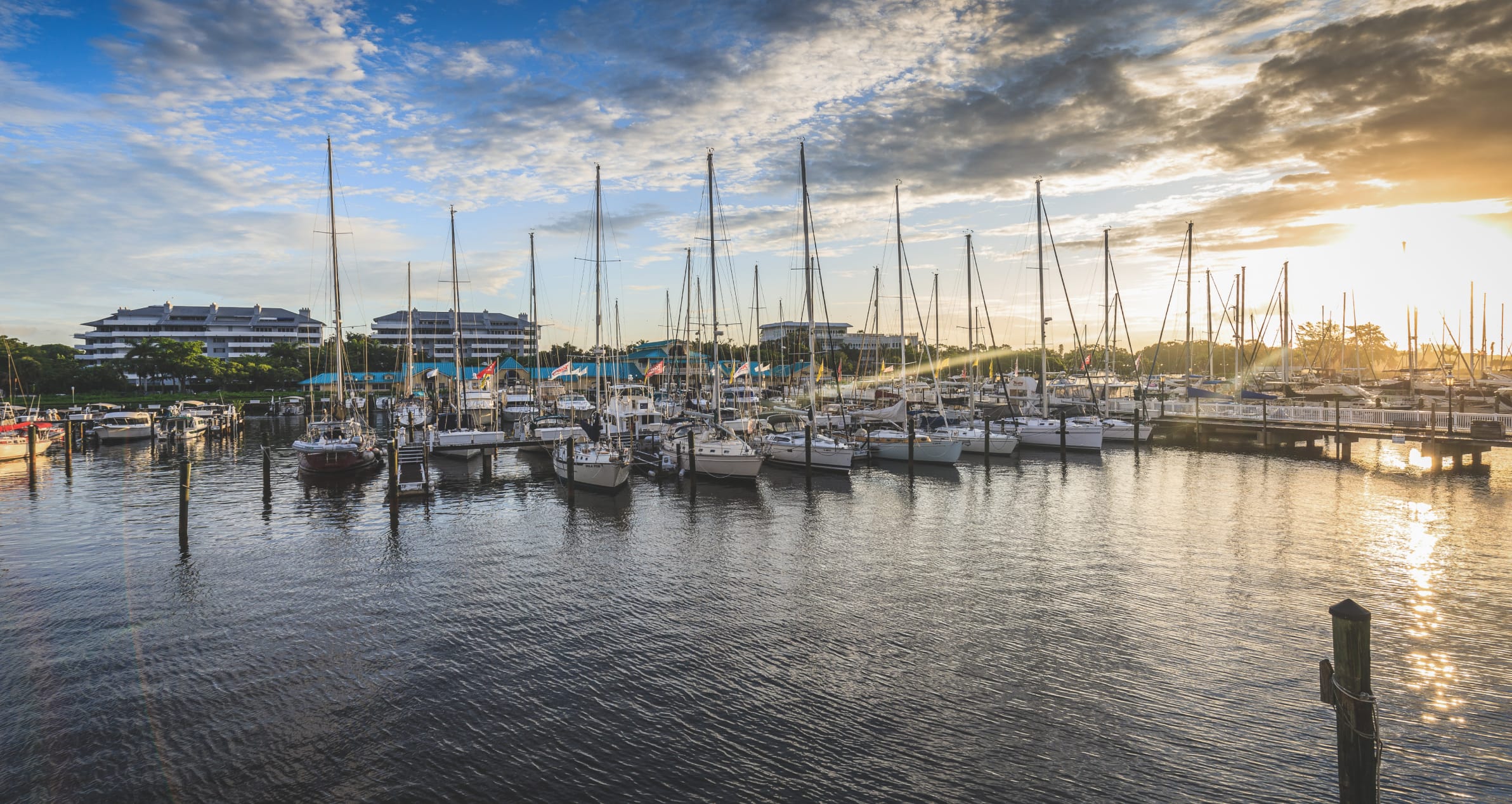 marina with many boats