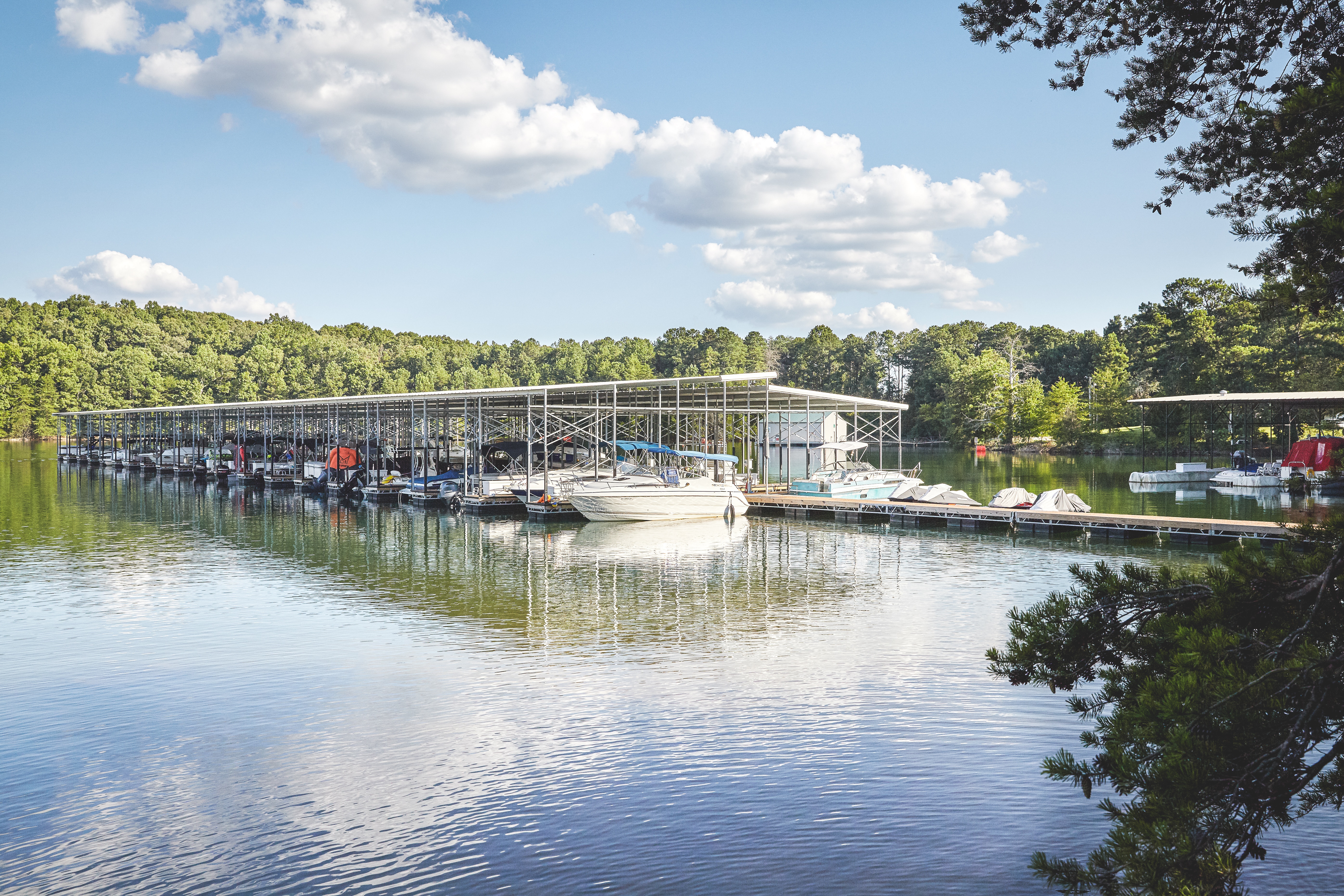 aerial view of harbor
