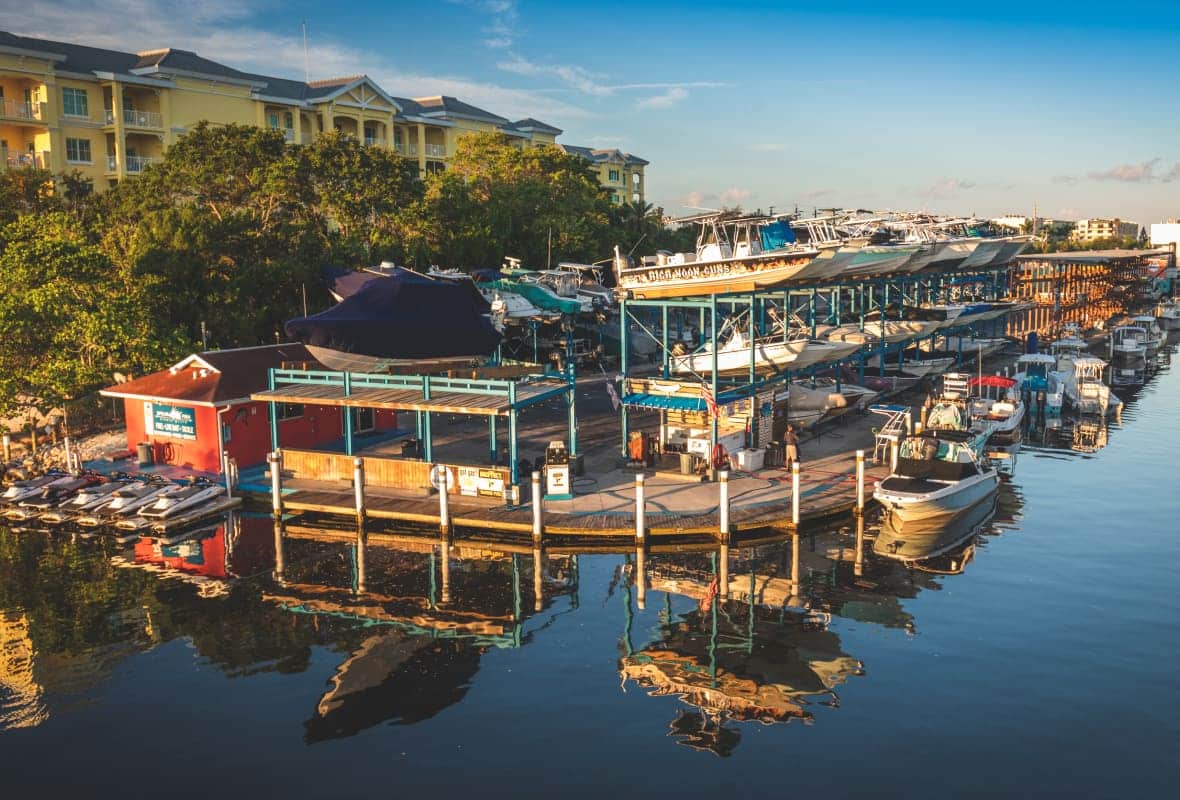 aerial view of safe harbor siesta key