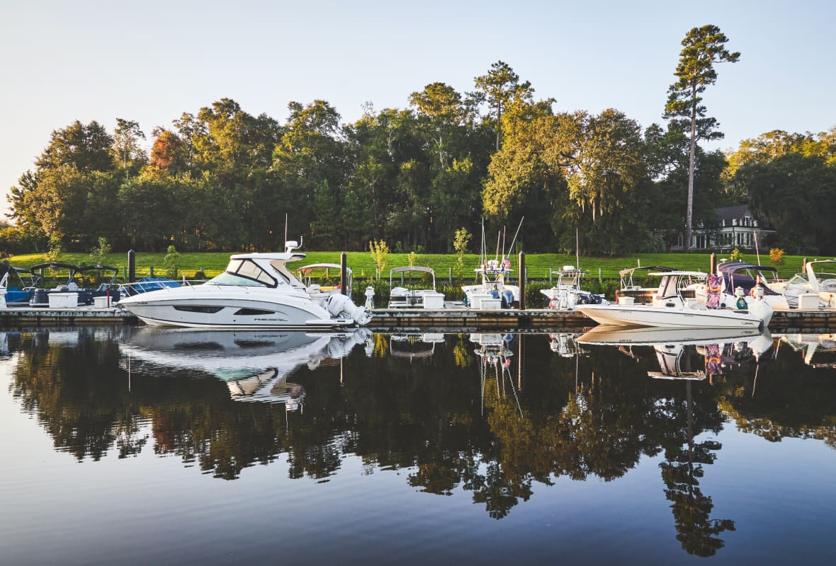 boats tied up to a dock with trees in the background