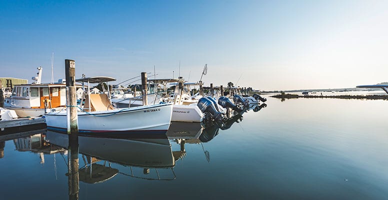 safe harbor vineyard haven