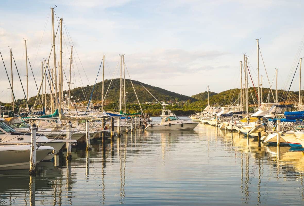 boats in a marina
