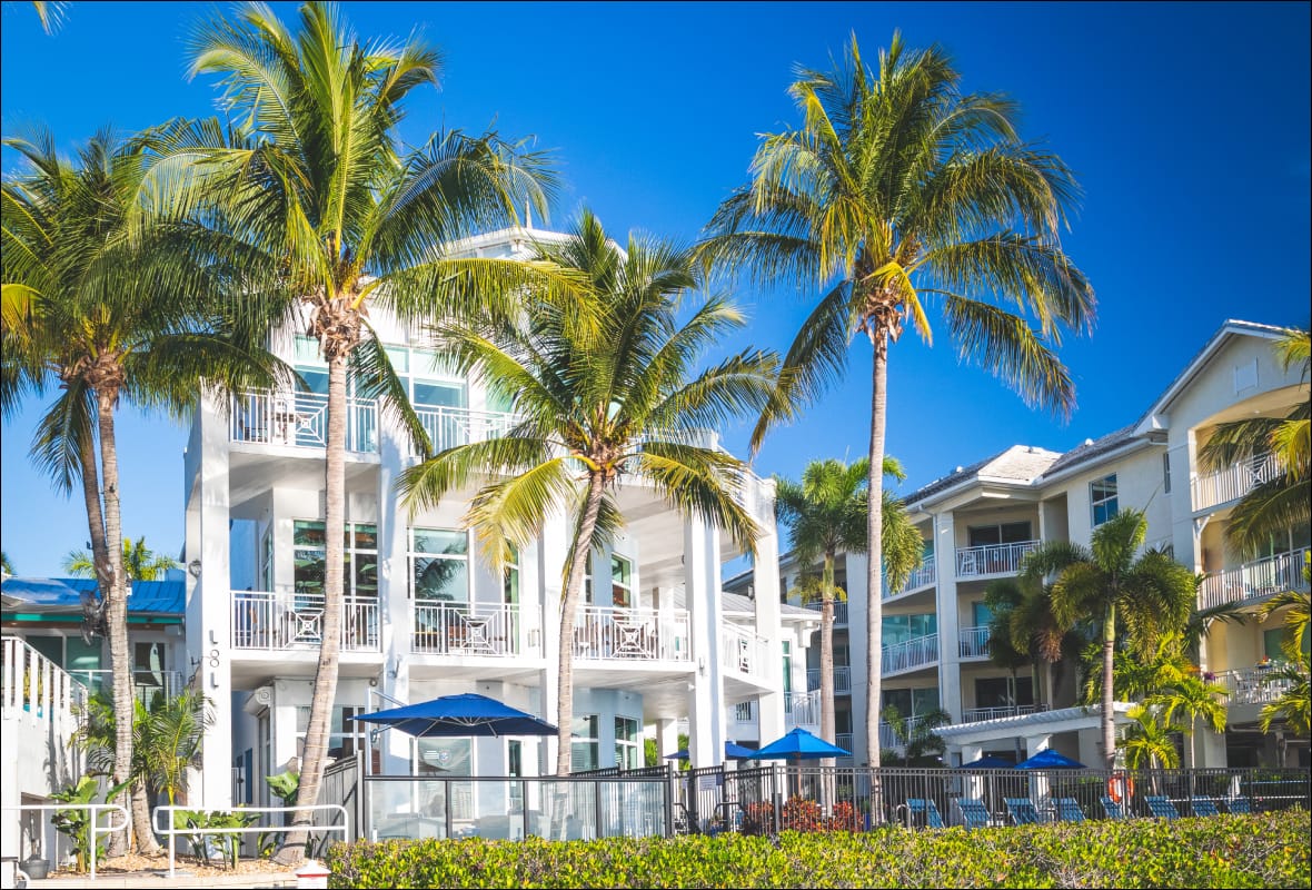 big white housing with palm trees