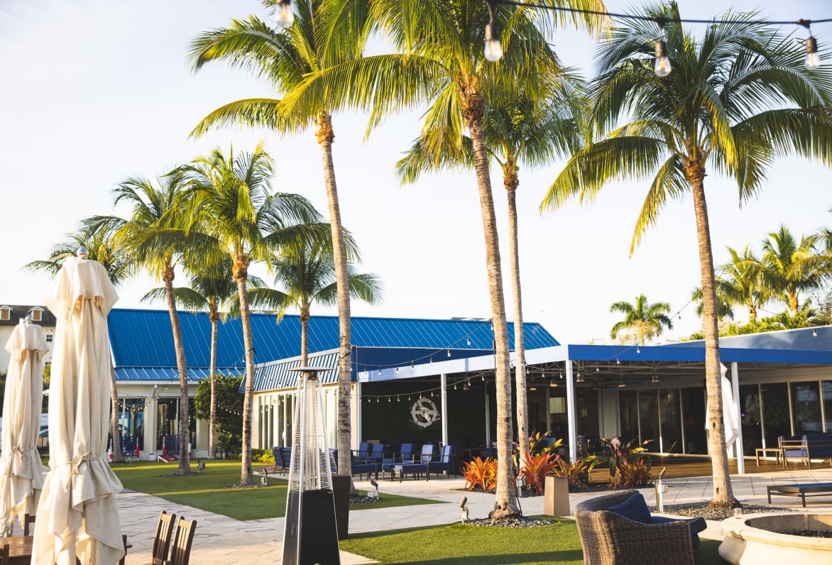 palm trees in front of a blue and white building