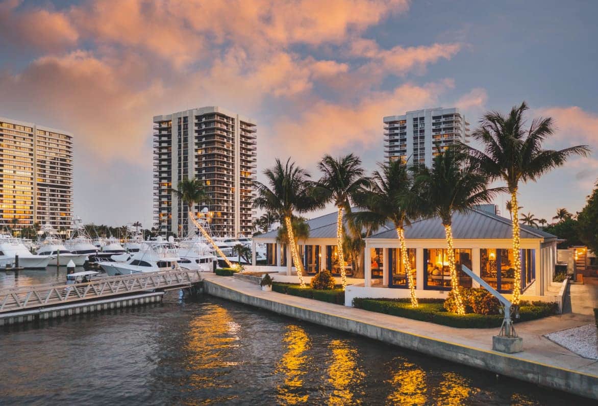 marina with palm trees lit up at sunset