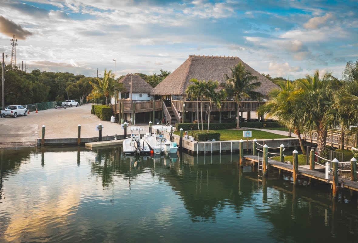 marina with palm trees and calm water