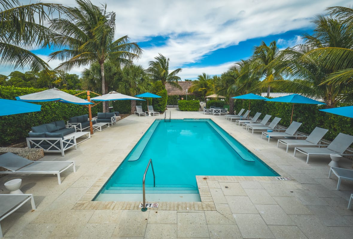 pool with chairs around it and palm trees in the background