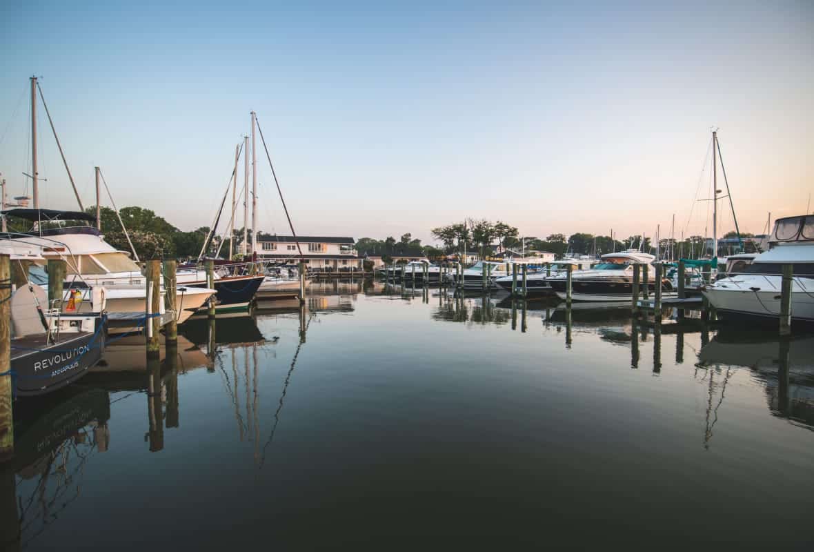 boats in a marina