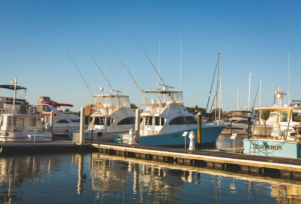 boats docked in a marina