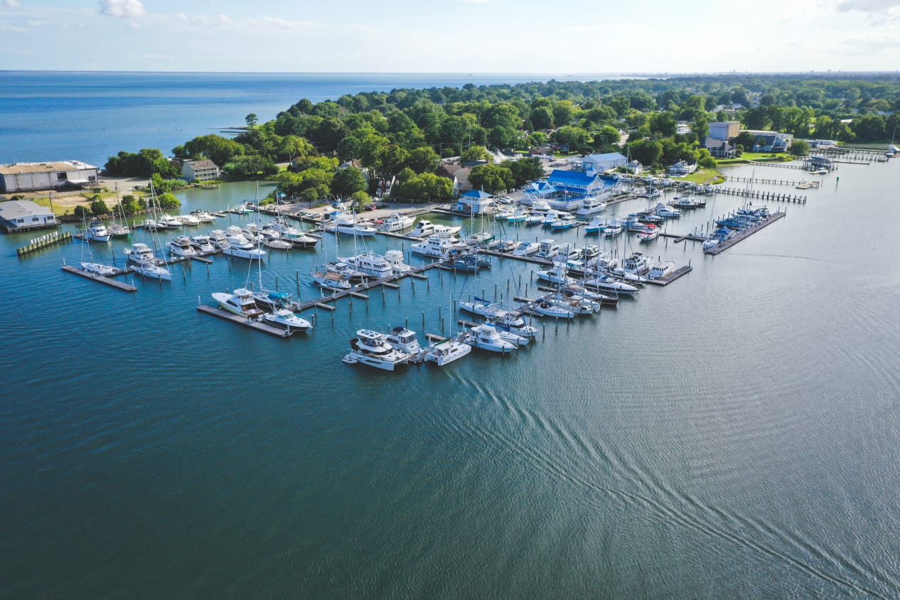 wide view of many boats docked in a marina