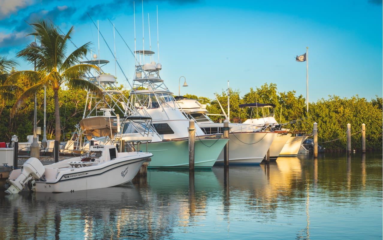 fishing boats docked in the water surrounded by trees
