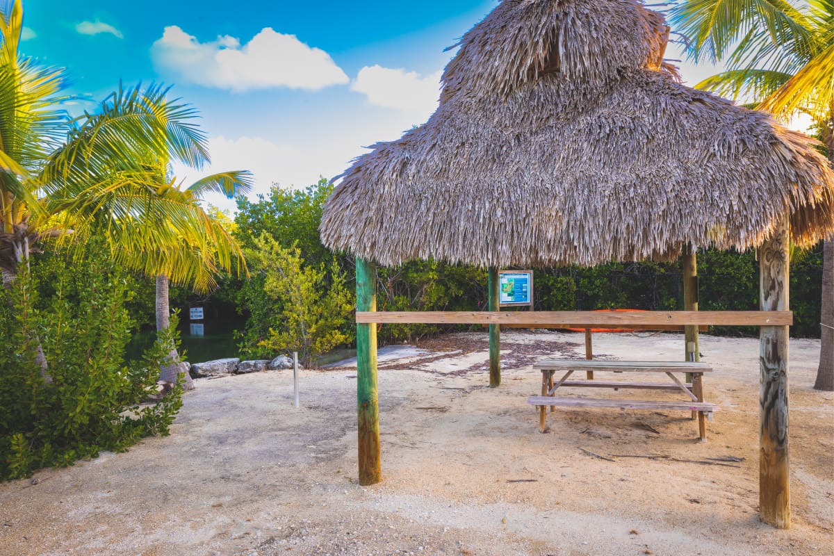 tiki hut with palm trees and a picnic table