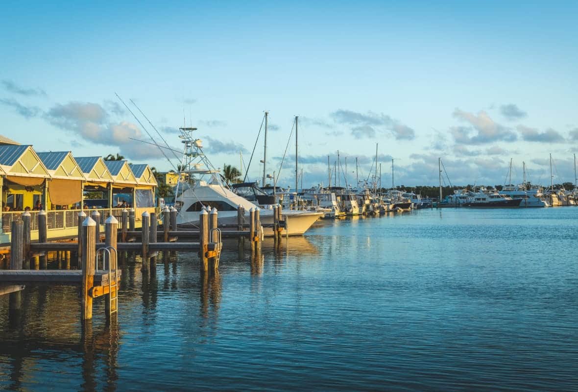 Close-up photo of a marina with a few boats docked in the calm waters.