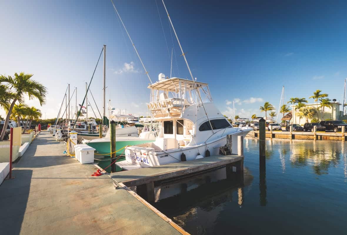 a couple boats docked with palm trees