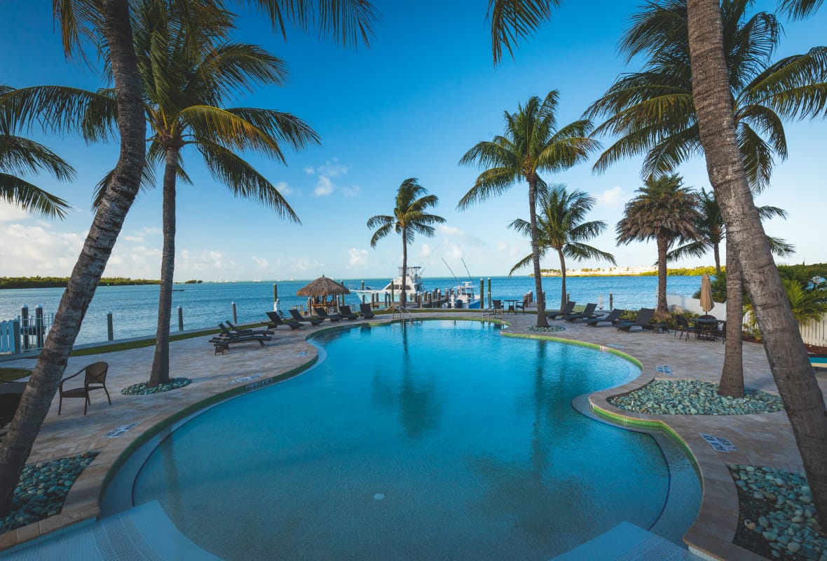 beautiful pool surrounded by palm trees