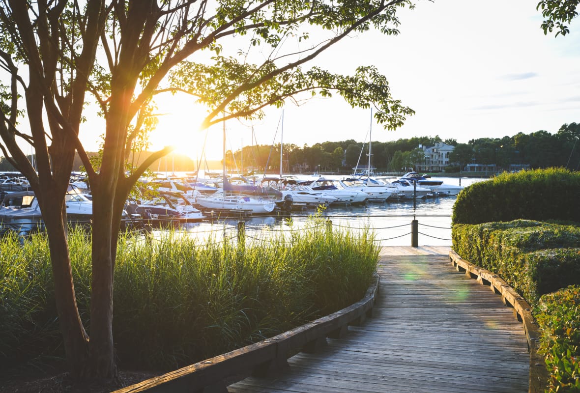 walkway lined with manicured bushes with boats docked on water in the background