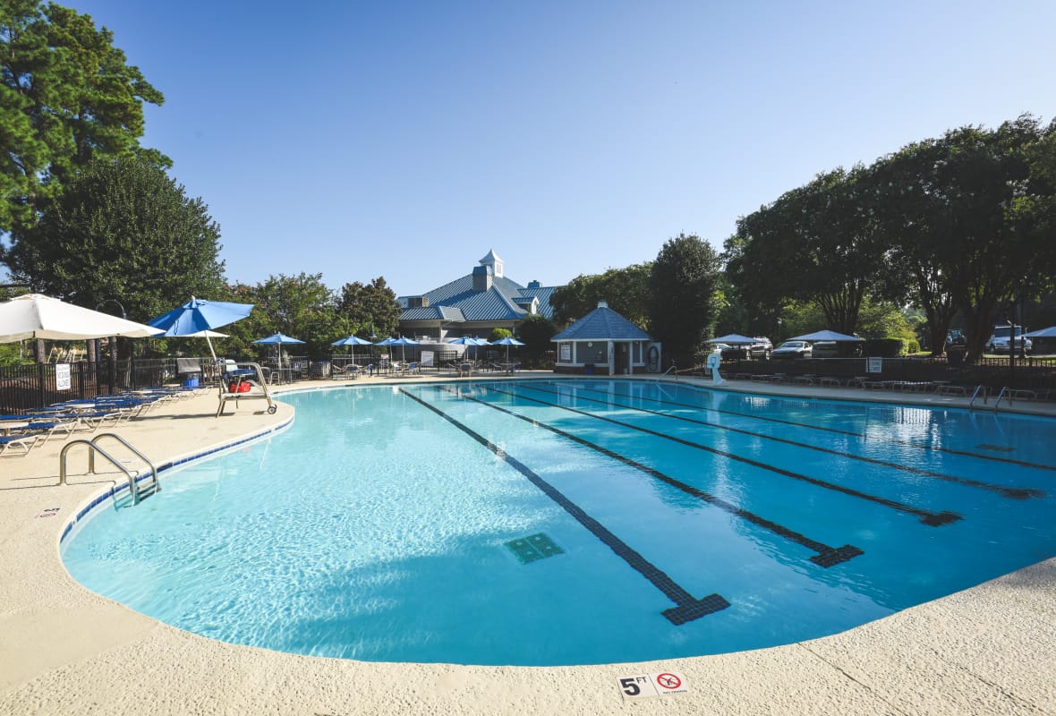 pool surrounded by trees on sunny day