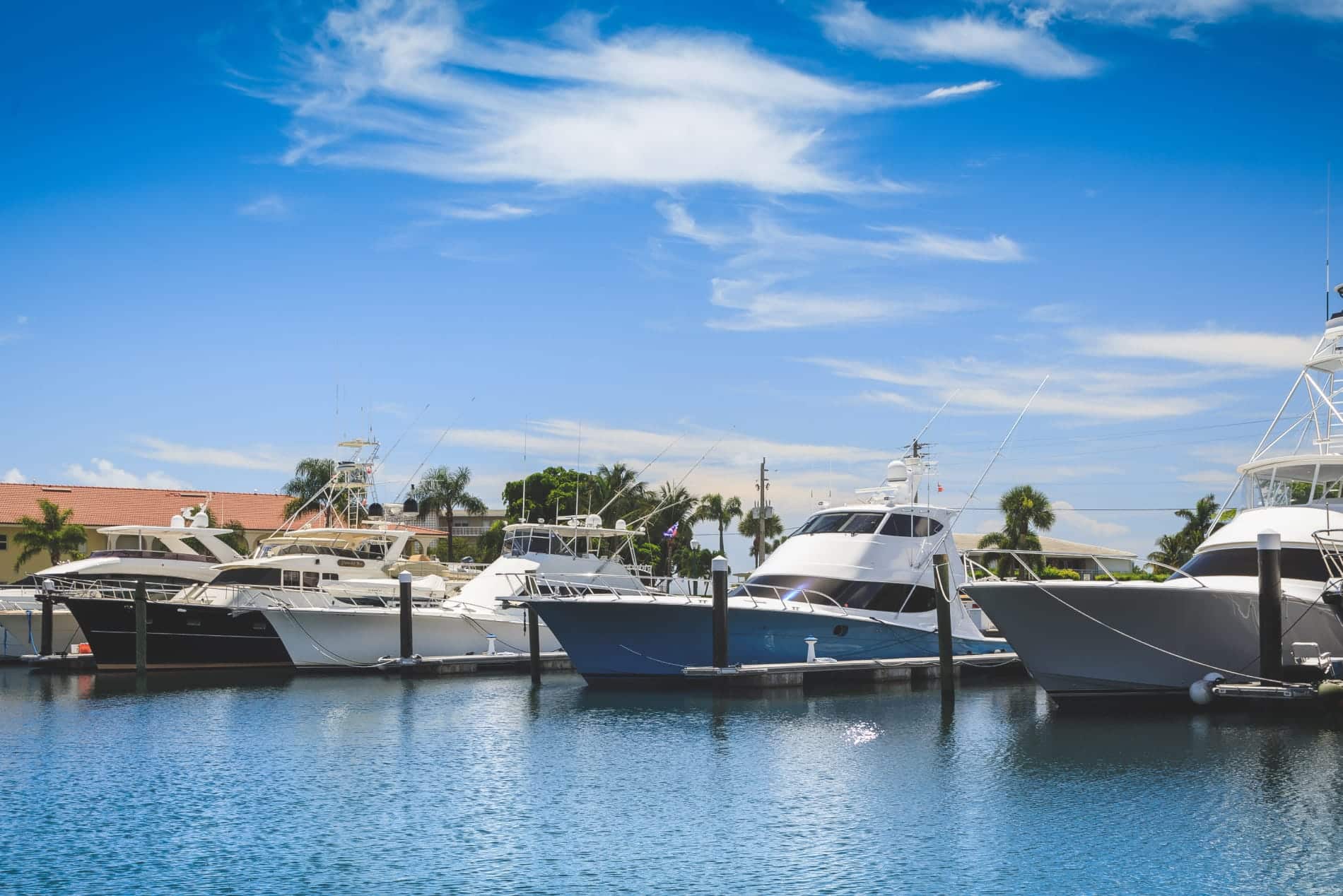 boats in a marina